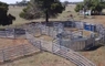  Metalcorp CattleKing® Yard